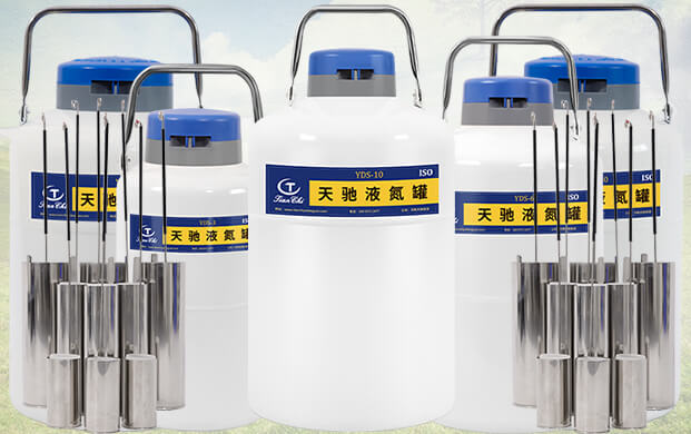 10升液氮罐能裝多少支凍精?