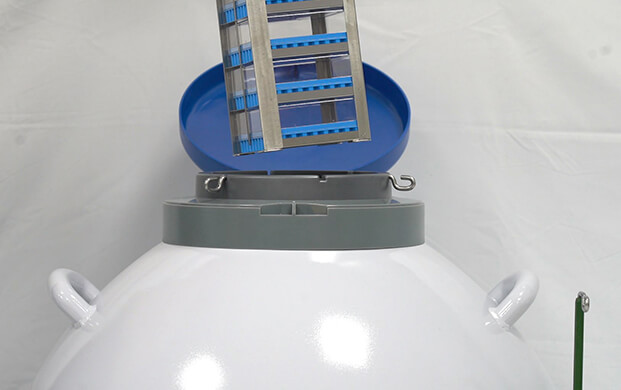 細(xì)菌可以凍在實驗室液氮罐里嗎？