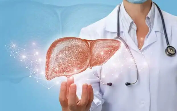 日本培育代謝活性肝細胞類器官,液氮冷凍技術突破存儲瓶頸