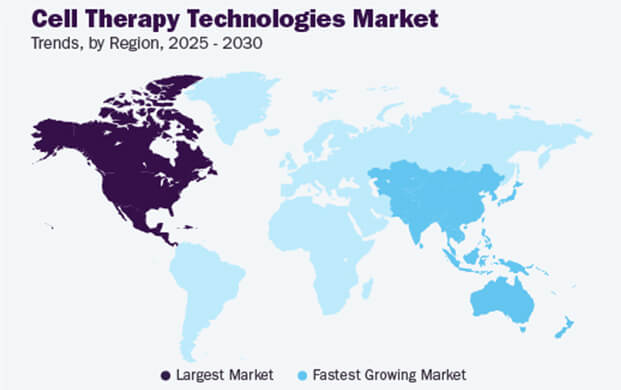 細胞治療技術市場增長態勢強勁,實驗室的液氮容器需求攀升